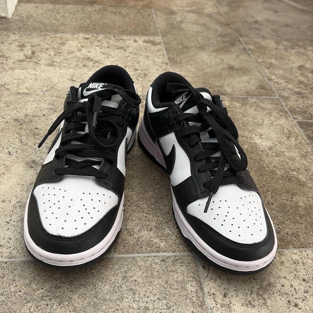 Brand new Nike dunks